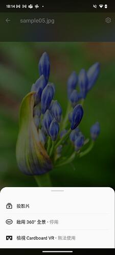 Selected Photos (3)