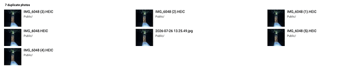 HEIC,JPG