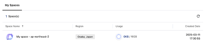 Screen Shot 2025-03-11 at 5.31.30 PM